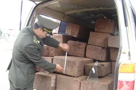 Một vụ vận chuyển lâm sản trái phép bị phát hiện. (Ảnh minh họa. Nguồn: Internet)
