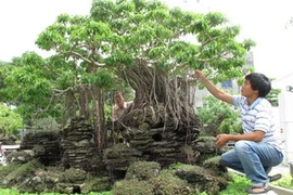 (Ảnh minh họa: Viết Ý/TTXVN)