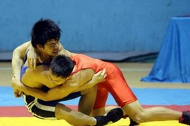 (Ảnh minh họa: Phạm Kiên/TTXVN)