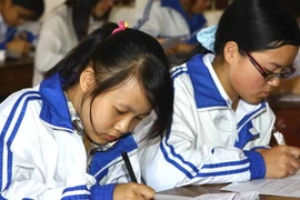 Ảnh minh họa. (Ảnh: Bích Ngọc/TTXVN)