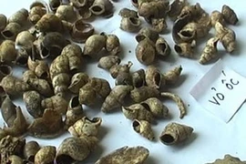 Một số di vật khảo cổ tại Ngườm Hầu. (Nguồn: tuyenquangtv.vn)