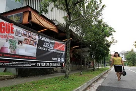 Singapore đang trong giai đoạn cao điểm dịch sốt xuất huyết. (Nguồn: Strait Times) 