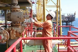 Ảnh minh họa (Nguồn: TTXVN)