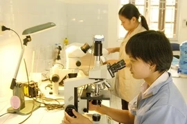 Kiểm tra, phân tích tại một phòng thí nghiệm. (Ảnh: Minh Đông/TTXVN) 