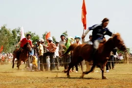 Đua ngựa truyền thống tại Phú Yên. (Ảnh: Thế Lập/TTXVN).