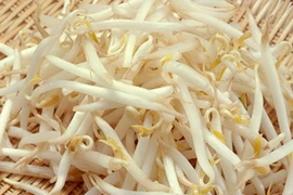 Giá đỗ. (Nguồn: Internet)