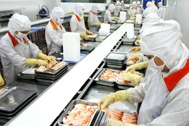 Chế biến tôm đông lạnh. (Ảnh: Huy Hùng/TTXVN).