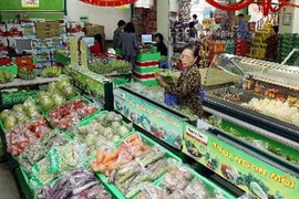 (Ảnh: Quang Quyết/TTXVN)