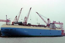 (Ảnh minh họa: Thế Duyệt/TTXVN)