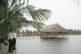 Một góc Cồn Vành. (Nguồn: Internet)