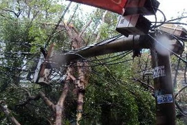 Cột điện gãy đổ vì bão. (Ảnh: Trần Lê Lâm/TTXVN)