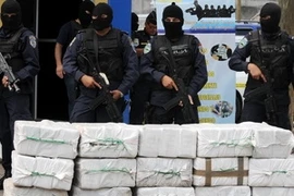 Ảnh minh họa. (Nguồn: AFP/TTXVN)