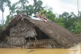 Ảnh minh họa. (Nguồn: Internet)