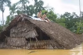 Ảnh minh họa. (Nguồn: Internet)