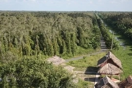 (Ảnh: Lê Huy Hải/TTXVN).