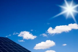 Ảnh minh họa. (Nguồn: Internet)