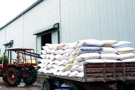 (Ảnh minh họa: Đình Huệ/TTXVN)