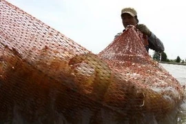 (Ảnh minh họa: Duy Khương/TTXVN)