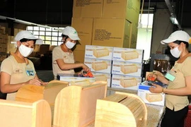 (Ảnh minh họa: Kim Phương/TTXVN)