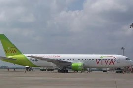 Ảnh minh họa. (Nguồn: Internet).