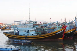 (Ảnh minh họa: Ngọc Hà/TTXVN)