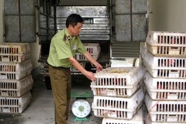 (Ảnh minh họa: Trần Việt/TTXVN)