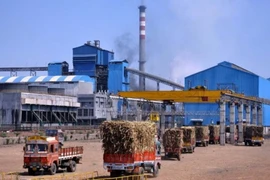 Indonesia xây dựng thêm 10 nhà máy đường để giảm nhập khẩu