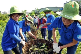 Tiếp tục đẩy mạnh phong trào Thanh niên xây dựng văn minh đô thị