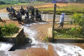 Người dân bức xúc đổ sữa ra đường vì quy định thu mua mới