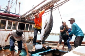 Giá xăng dầu giảm tạo động lực cho ngư dân bám biển