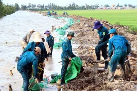 Đồng Tháp ưu tiên đầu tư 7 dự án ứng phó với biến đổi khí hậu