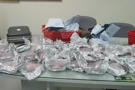 TP.HCM: Tạm giữ 2 khách Canada mang gần 50.000 viên ma túy 