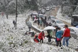 Quốc lộ 4D đoạn từ Lào Cai lên Sa Pa đã được thông tuyến