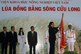 Viện Lúa ĐBSCL đón nhận Huân chương Độc lập hạng nhất