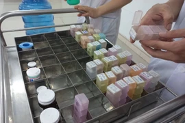 Nhân viên y tế làm công tác cấp phát thuốc cho bệnh nhân. (Ảnh: PV/Vietnam+)