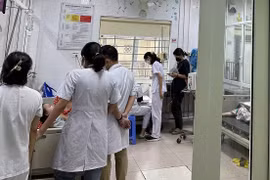 (Ảnh minh họa: P.V/Vietnam+)