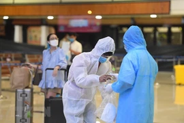 (Ảnh minh họa: TTXVN/Vietnam+)