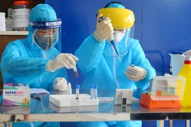 Nhân viên y tế làm công tác xét nghiệm. (Ảnh: TTXVN/Vietnam+)