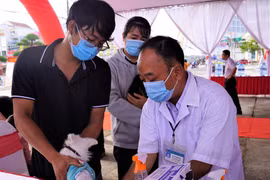 Tiêm vaccine phòng dại trên trên động vật là cách tốt nhất để để ngăn chặn bệnh dại. (Ảnh: P.V/Vietnam+)
