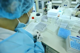 Nghiên cứu tại Viện vệ sinh dịch tễ Trung ương. (Ảnh: Minh Quyết/TTXVN)