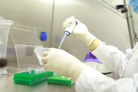 Nhân viên y tế làm công tác xét nghiệm. (Ảnh: TTXVN/Vietnam+)