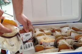 Người đủ điều kiện hiến huyết tương được các bác sỹ của Bệnh viện Bệnh Nhiệt đới Trung ương sẽ gặp gỡ trực tiếp để giải thích. (Ảnh: T.G/Vietnam+)