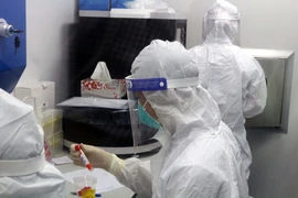 Các y, bác sỹ thực hiện xét nghiệm bằng kỹ thuật RT-PCR. (Ảnh: Đại Nghĩa/TTXVN)