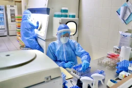 Nhân viên y tế làm công tác xét nghiệm COVID-19. (Ảnh: TTXVN phát)