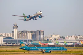 (Ảnh: CTV/Vietnam+)
