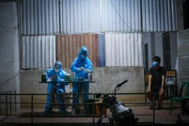 (Ảnh: Trọng Đạt/TTXVN)