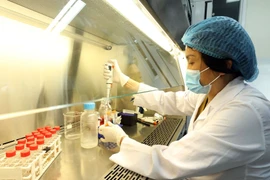 Nghiên cứu tại Viện vệ sinh Dịch tễ Trung ương. (Ảnh: Anh Tuấn/TTXVN)