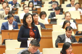 Bộ trưởng Bộ Y tế Đào Hồng Lan giải trình, làm rõ vấn đề đại biểu Quốc hội nêu. (Ảnh: Phương Hoa/TTXVN)