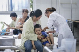 (Ảnh: Trọng Đạt/TTXVN)