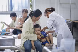 (Ảnh: Trọng Đạt/TTXVN)